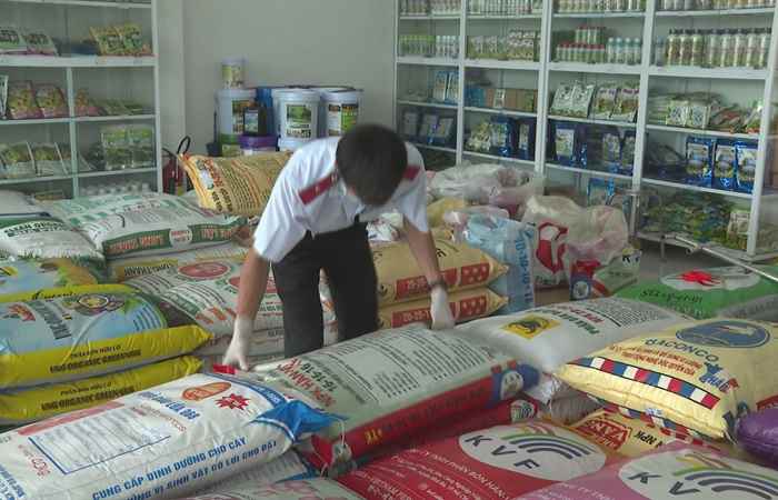 Công tác quản lý vật tư nông nghiệp trên lĩnh vực phân bón, thuốc bảo vệ thực vật và giống cây trồng (15-10-2024)